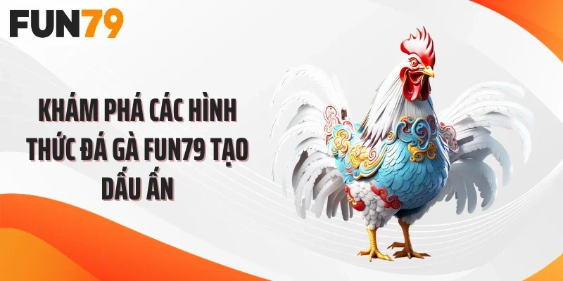 Khám phá các hình thức đá gà FUN79 tạo dấu ấn